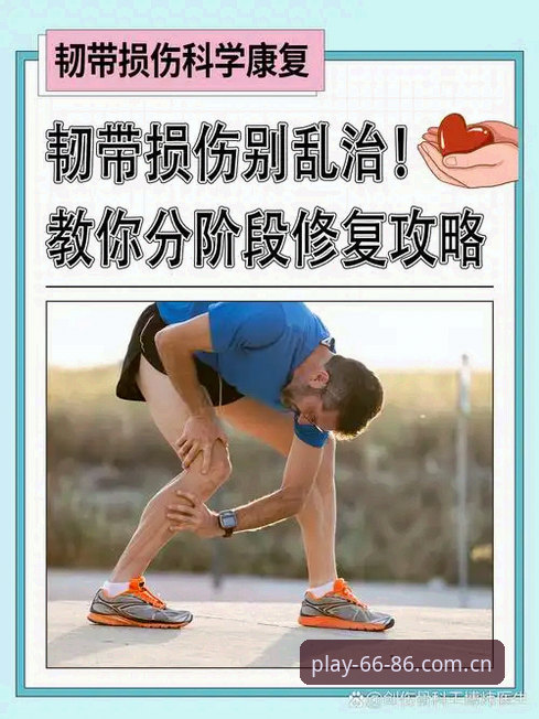 中国官方导航主页苹果版怎么样 施洛特贝克韧带撕裂伤缺8周,6686体育平台用户热议德国队防线告急最新消息